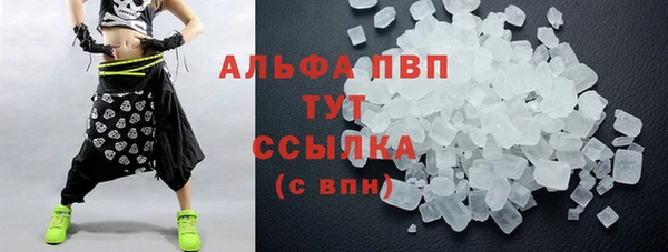 PSILOCYBIN Белокуриха