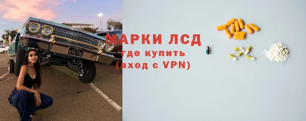 PSILOCYBIN Белокуриха