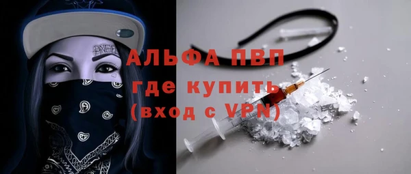 ГАЛЛЮЦИНОГЕННЫЕ ГРИБЫ Богданович