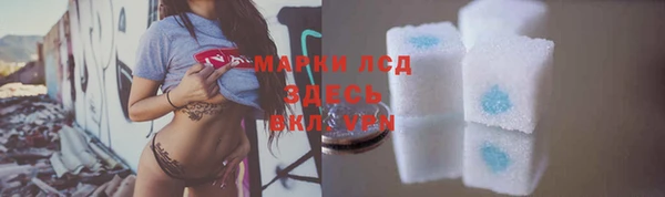 PSILOCYBIN Белокуриха