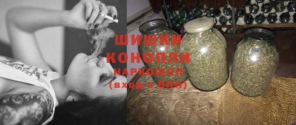 PSILOCYBIN Белокуриха