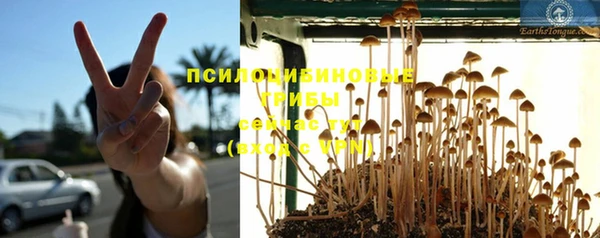 бошки Беломорск