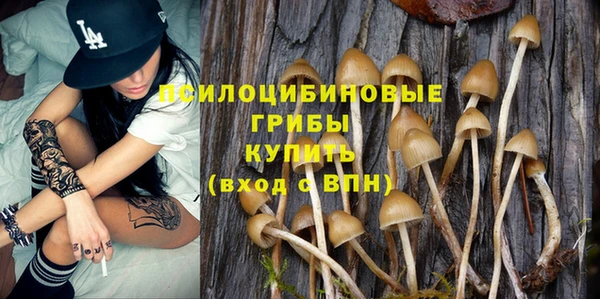PSILOCYBIN Белокуриха