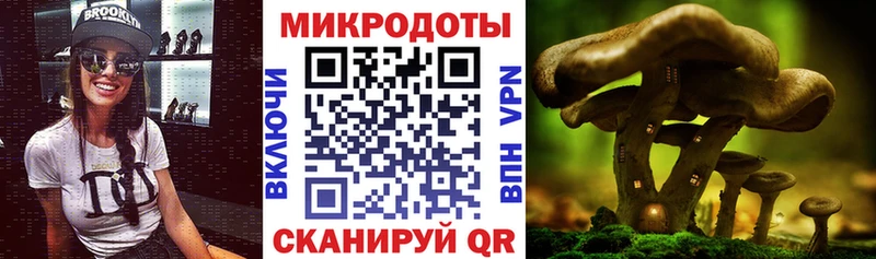 Купить где  Донецк  Псилоцибиновые грибы прущие грибы 